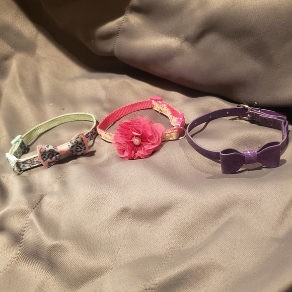 PET | XS Female Dog Collar Bundle! - Picture 2 of 6